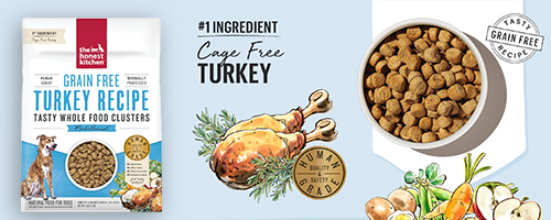 グレインフリーターキー