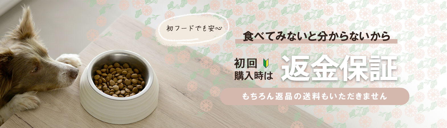 食べてみないと分からないから 初回購入時は返金保証いたします!もちろん返品の送料もいただきません