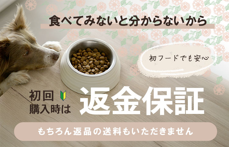 食べてみないと分からないから 初回購入時は返金保証いたします!もちろん返品の送料もいただきません